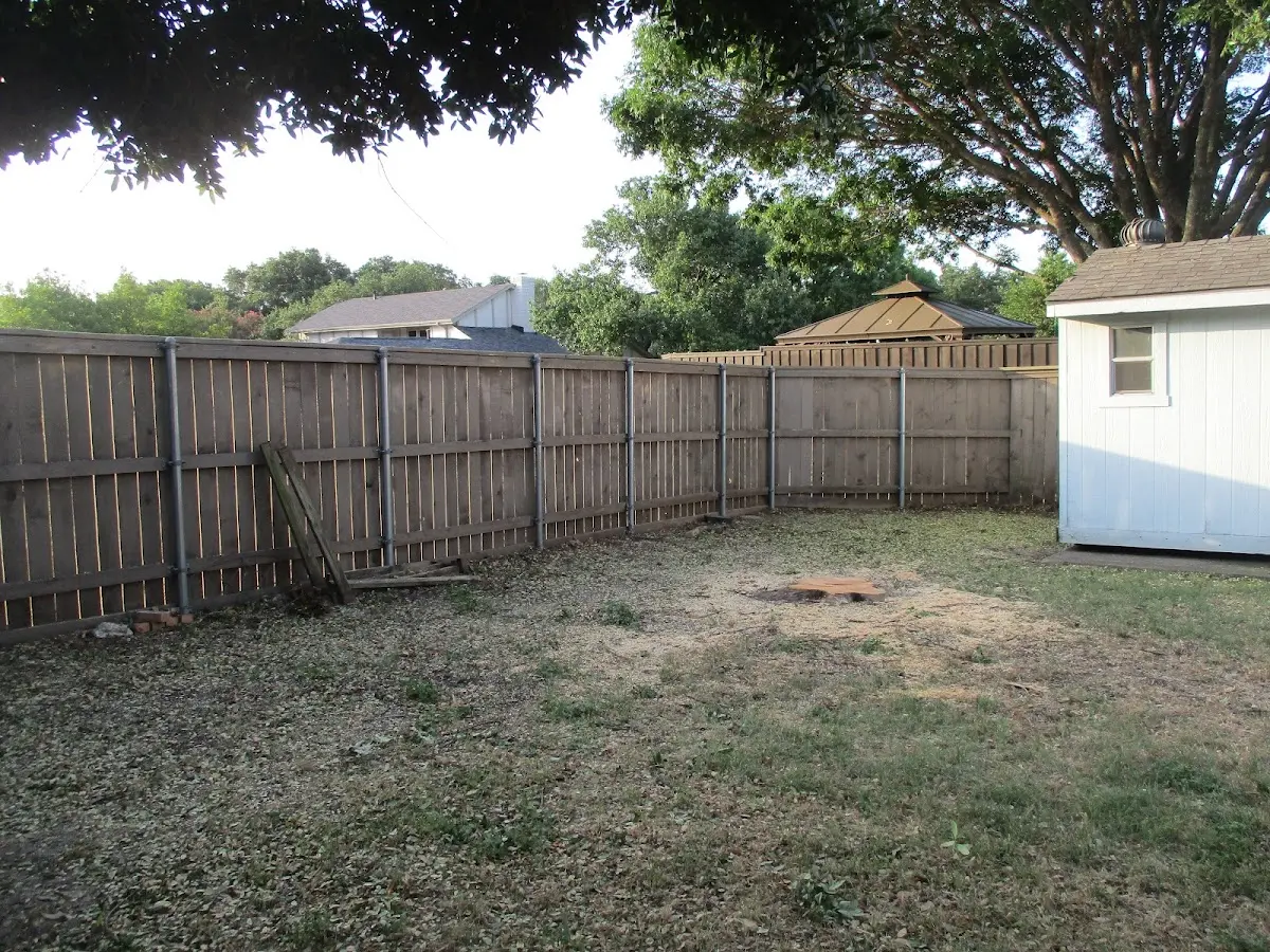 Cleared yard after professional tree removal in Freeman